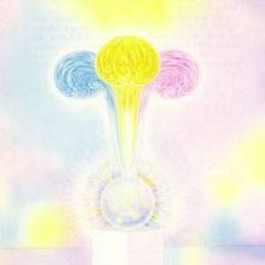 Meet your Posher, Starfire